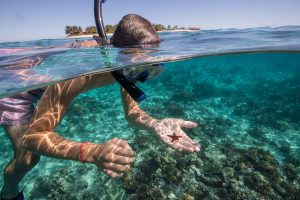 Namotu Island Fiji Premium Surf Resort Water Sports Experiences