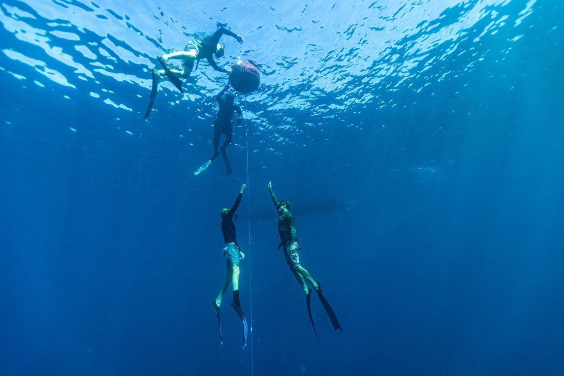 freediving fiji